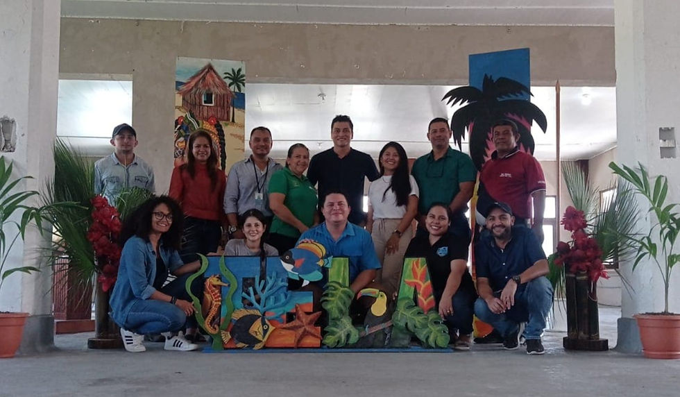 AMATELA Team, Our Programs.