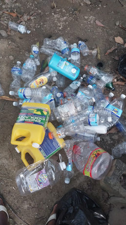 Waste Separation, BICA Roatan, Pensacola