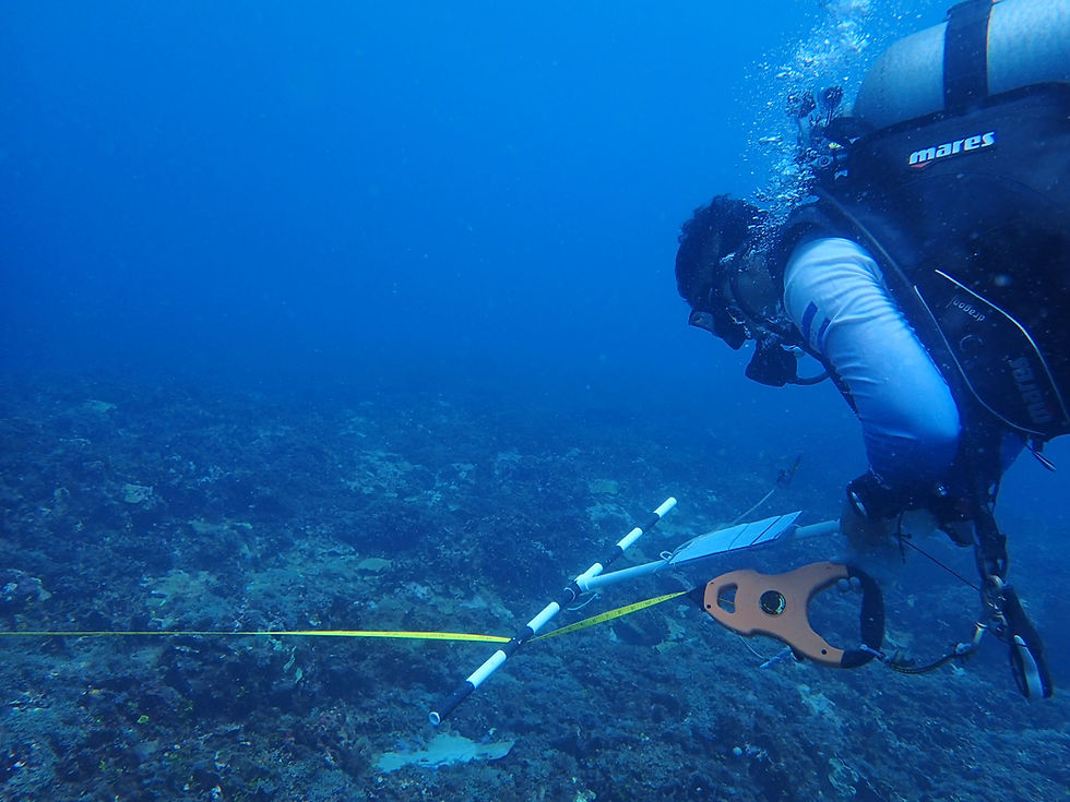 Paolo Guardiola, Research Program, AMATELA