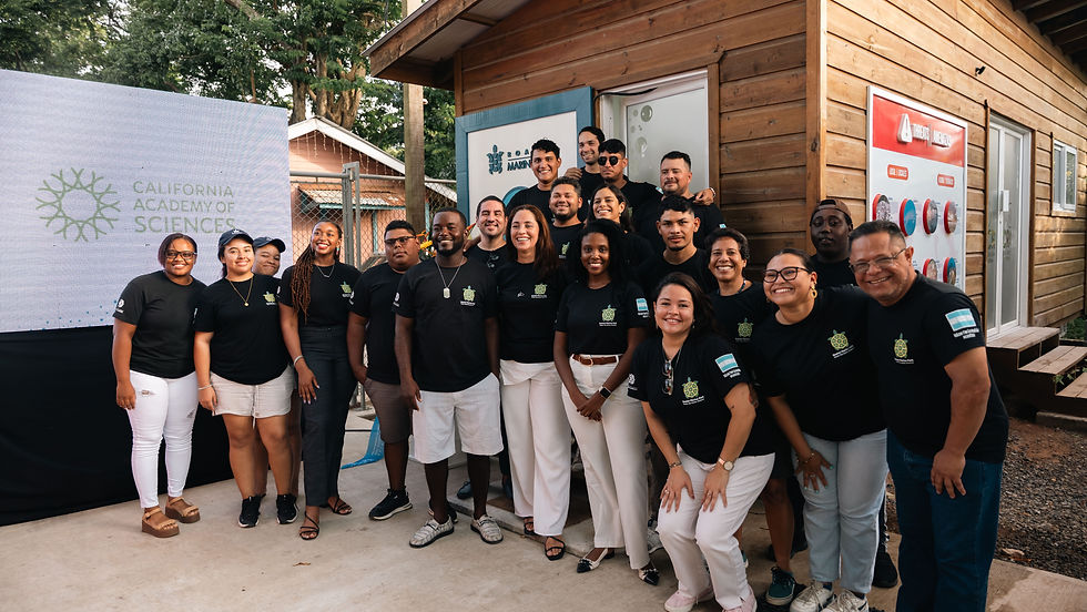 Restoring Reefs, Restoring Hope