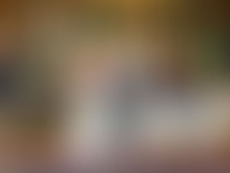 Real Mia Grace Bride: Wedding of Tracy and Dan