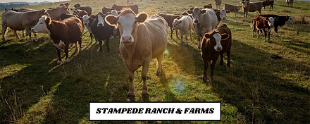 STAMPEDE RANCH & FARMS.jpeg