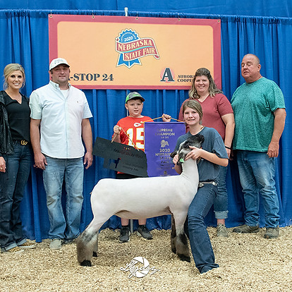 GrandEwe_4HNEStatefair.jpg