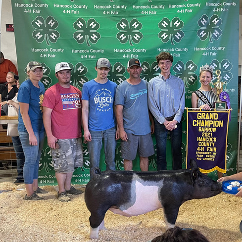 Grand Champion Barrow
Hancock County Fair, IN
Shown by: Hayden Joyce
Sire: Encore
Dam: Legit
Bought in March 2 @showpig_com