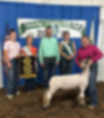 5th Overall