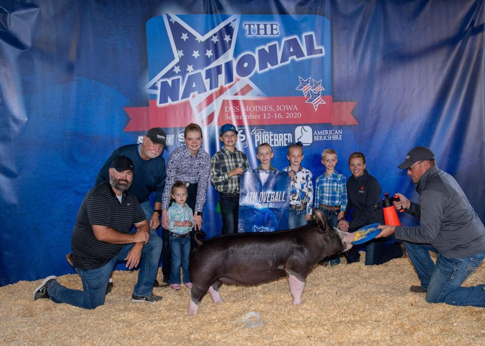 4th Overall Berk Gilt
The National
Clea Kocher
Sired by Shattered (Laird’s)