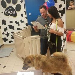 Instagram - Grand Opening www.doggievip.jpg