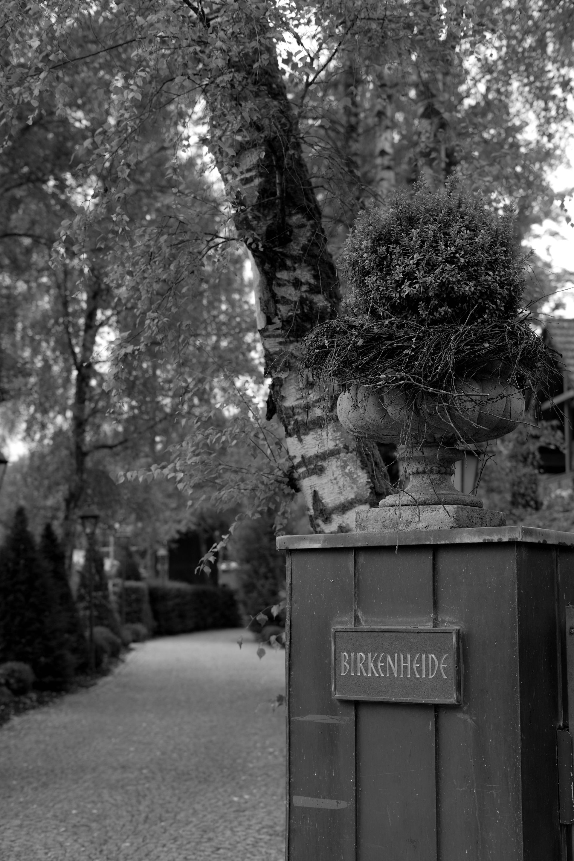 Hochzeiten feiern in Ingolstadt