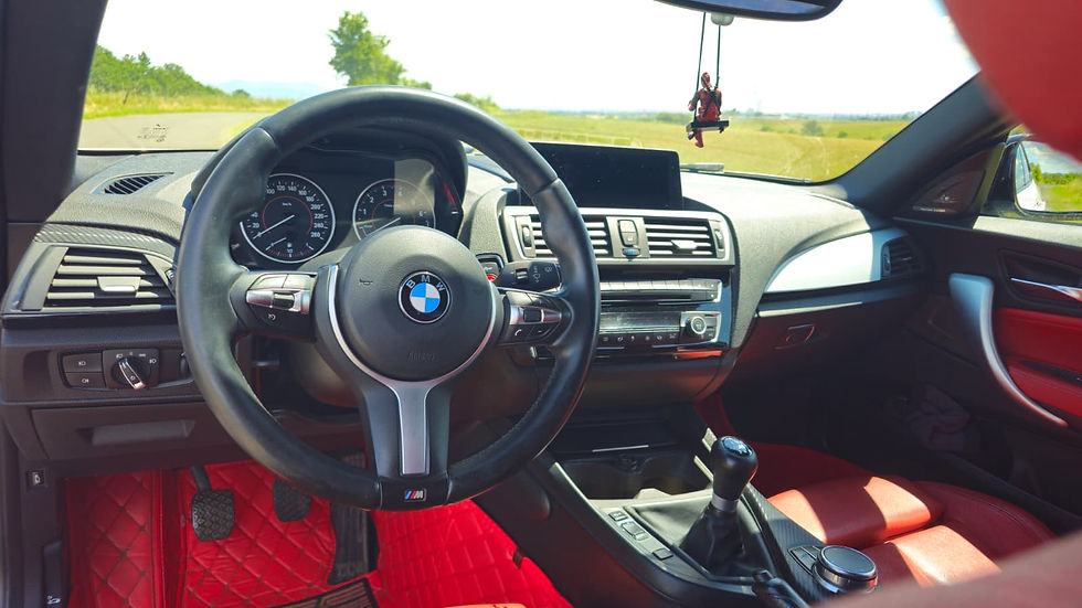 BMW 230 usata.jpeg