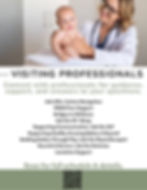 Visiting Profesisionals
