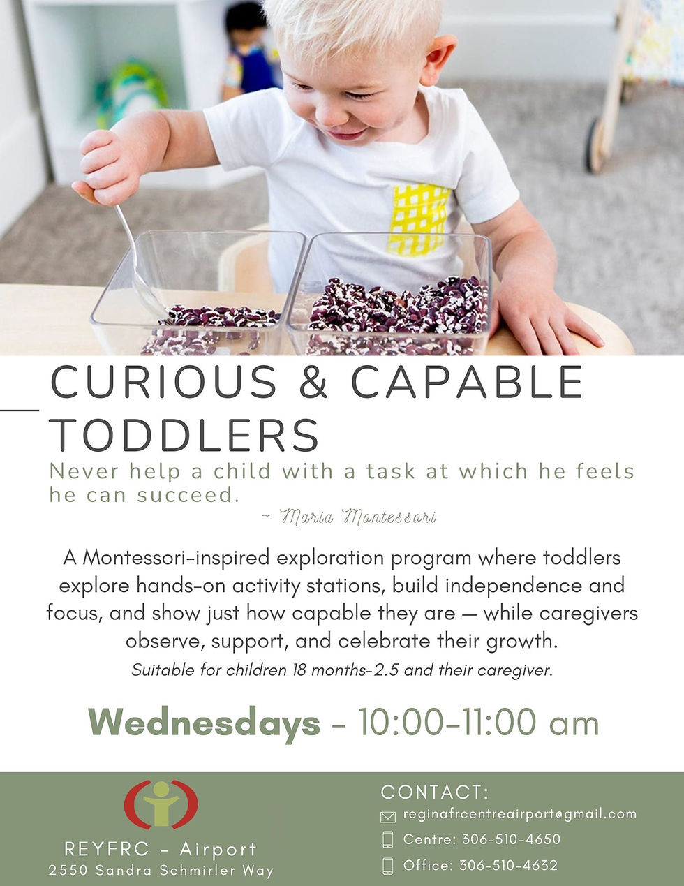 Curious & Capable Toddlers