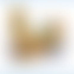 RECORDAR, AGRADECER, CAMINAR