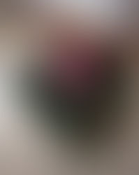 TERCER DOMINGO DE ADVIENTO