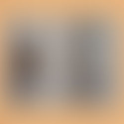 CONCIERTO DE MÚSICA CLÁSICA