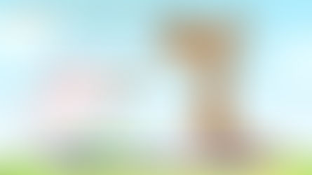 QUINTO DOMINGO DE CUARESMA