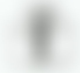 FIESTA DE LA VIRGEN DEL PORTIILLO - FIESTA DE LA PARROQUIA