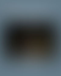 NOVENA Y FESTIVIDAD DE NUESTRA SEÑORA DE LOURDES