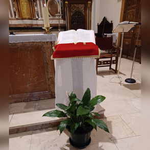 DÍA DE LA PALABRA DEL SEÑOR