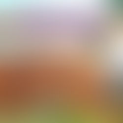 OBRAS EN LA PARROQUIA