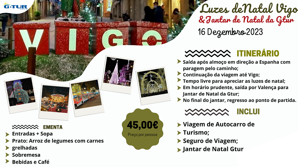 Vigo Christmas Lights