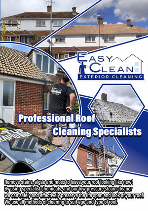 Easy Clean Flyer REAR F.jpg