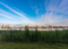 linsepc-rostock-3509955_1920_web.jpg
