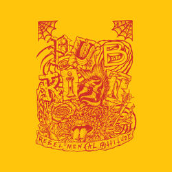 pub riot color up 4-01-01