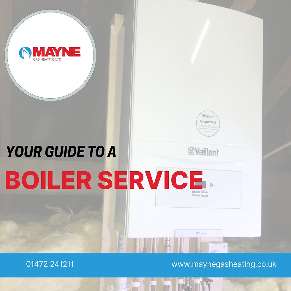 Boiler in an attic with "Your Guide to a Boiler Service" text. Blue and red branding. Mayne Gas Heating logo and contact details visible.