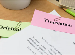 Document translation_Tessa_Raeda.PNG