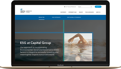 ESG at capital group hero.png