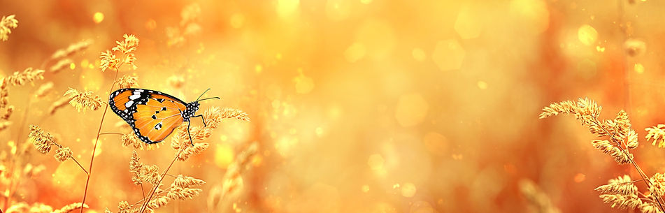 AdobeStock_280180771.jpeg