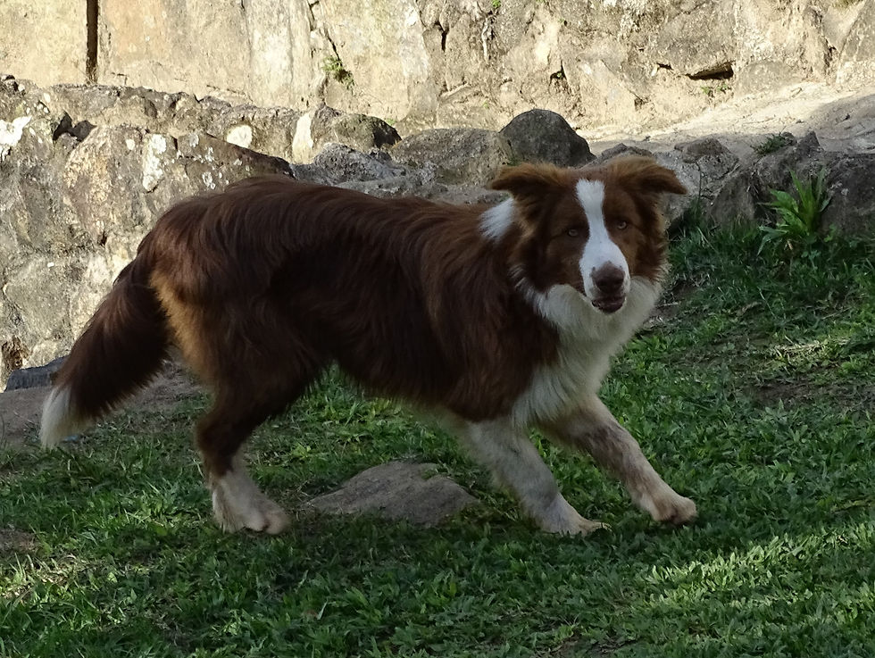 DSC00207