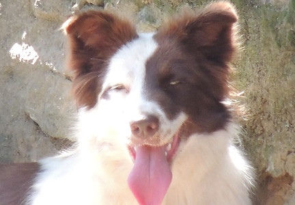 DSCN3022.JPG