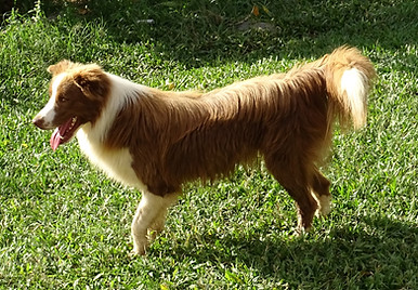 DSC01742.JPG
