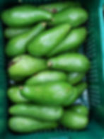 Aguadilla Farmers' Market