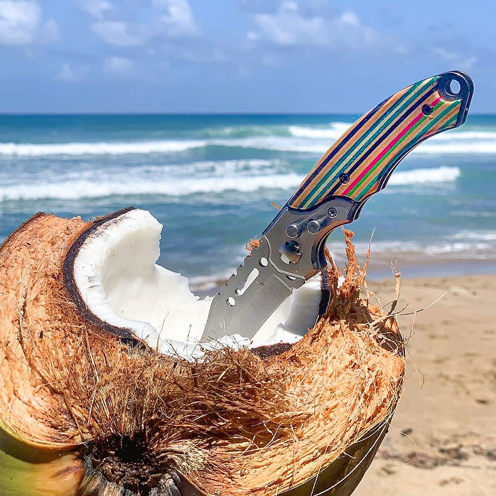 Vennuck Skate Crafts