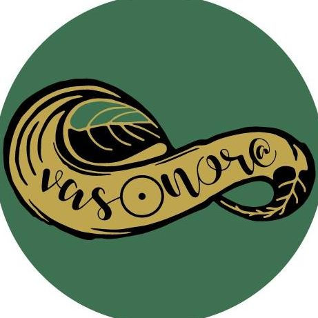Vasonoro