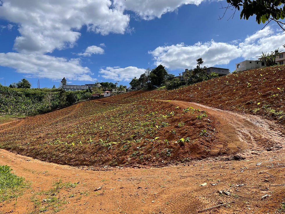 Finca Agrícola Gerchú