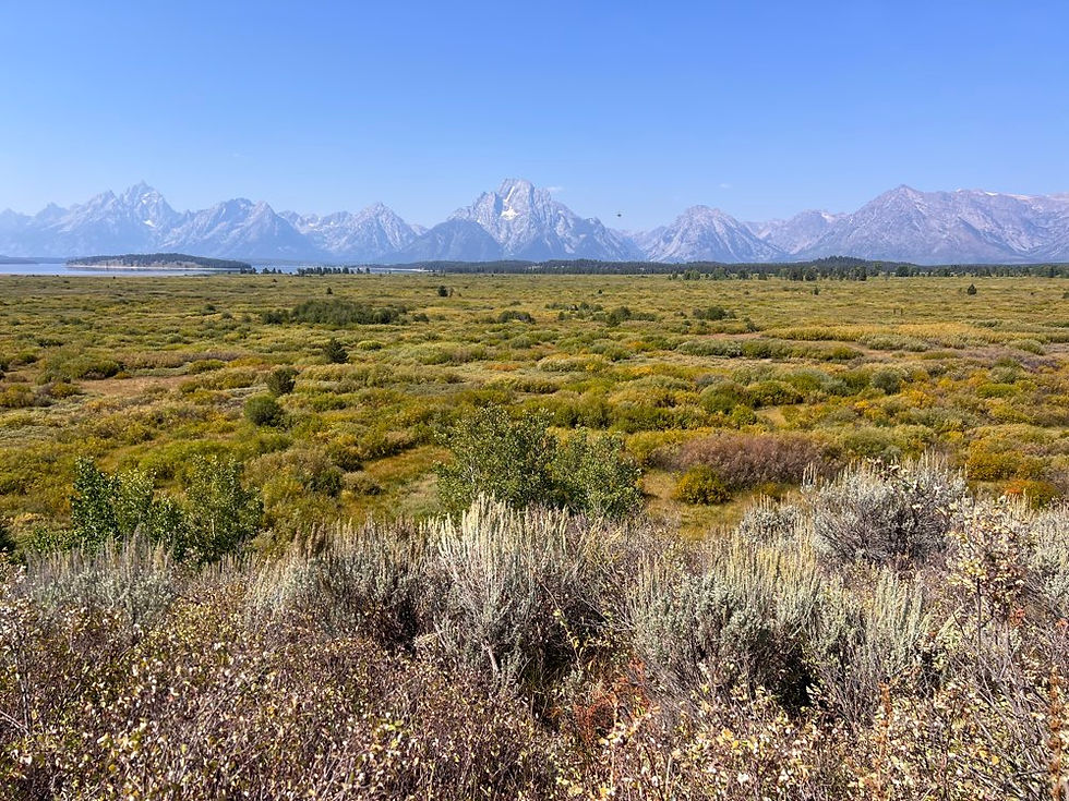 View of the Tetons from Jackson Lake Lodge
