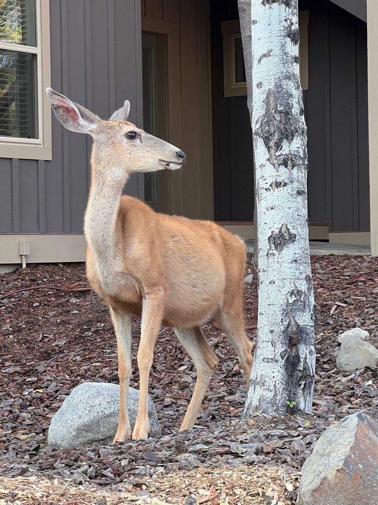 Outside our room at the Worldmark in McCall