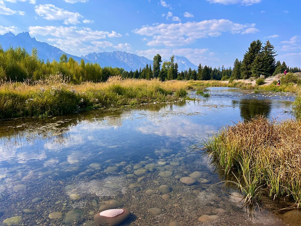 Schwabacher Landing in Grand Teton National Park