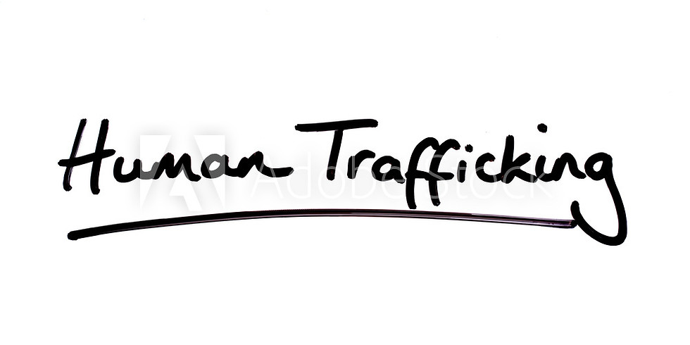 Online Meeting: Trafficking 101 (second meeting)