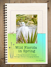 Wild Florida Spring 2026 Cover Art.jpg