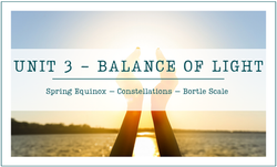 Wild Florida - Balance of Light