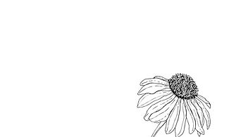 KN herbal elements (4).png