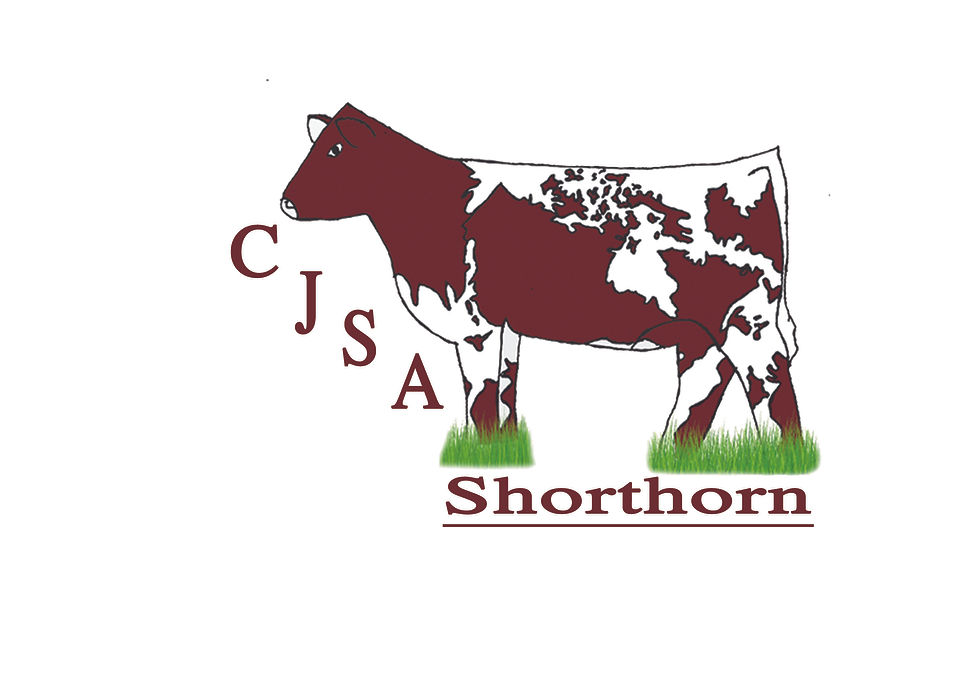 CJSA National Shorthorn Show
