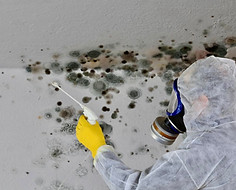 Specialty Touch Mold and Water Damage Restoration Call Now: 706-872-1167