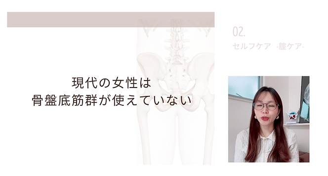 フロント動画.２イメージpng.png