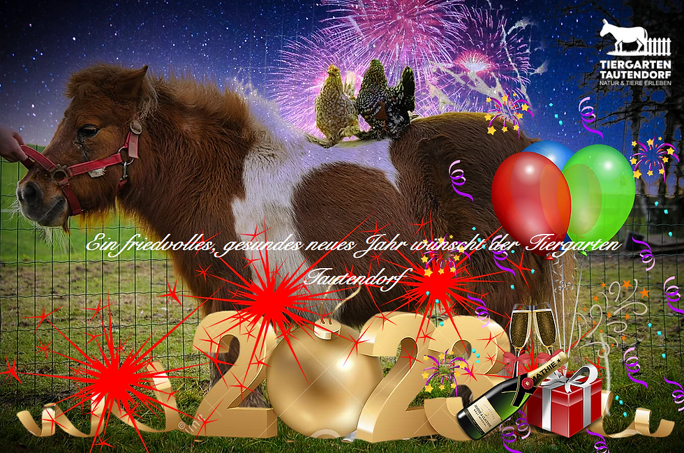HAPPY NEW 2026!