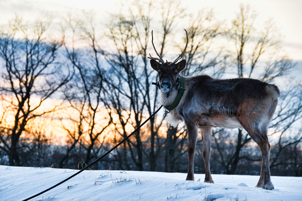 Flori & Rudolf 7.jpg